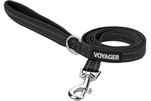 BEST PET SUPPLIES Voyager - Correa Reflectante para Perro con Mango de Neopreno, 5 pies de Largo, soporta Cachorros de Raza pequeña, Mediana y Grande, Bonita y Resistente para Caminar, Correr y Entrenar, Color Negro,
