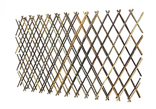 Weiden-Zaun „Ziehharmonika“ - 2