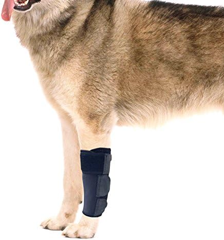 Dog Carpal Joint Bandage HEHEINC Canine Front Leg Joint Protection Brace Paw Compression Wrap Rehab Carpal Dog Joint Protector 14.5 * 8 cm