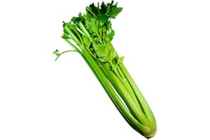 AMOREBIO Stangensellerie ca. 350g 1 x 1 Stk