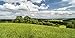 Produktbild Artland Qualitätsbilder I Wandbilder Selbstklebende Premium Wandfolie 60 x 30 cm Landschaften Felder Foto Grün C1GL Sommer Landschaft am Bodensee