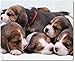 Price comparison product image Beagle Puppies Mouse Mat Sleeping [19]