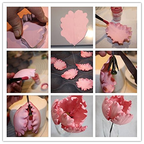 anyana Metall Zuckerguss Keks-Ausstecher Parrot Tulip Backen Morning Glory Blumen-Set von 6 Sugarcraft Kuchen dekorieren Cupcake Form Tools Topper Edelstahl Gebäck - 7