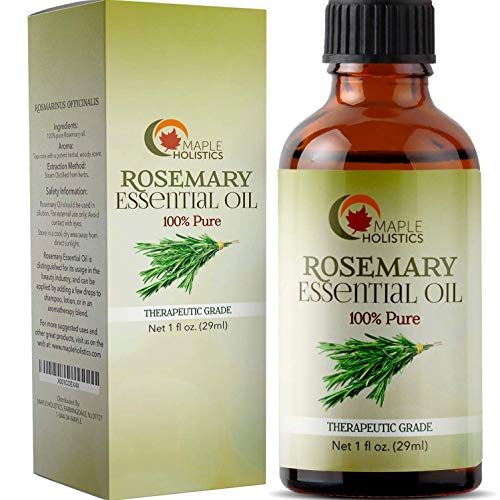 Pure Rosemary Essential - 100% Natural & Therapeutic Grade - Hair Growth, Scalp and Memory Benefits for Women and Men - 1oz - Guaranteed By Maple Holistics by Maple Holistics