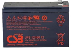 WSB CSB AGM Batterie au plomb 12 V 9,3 Ah UPS12460 F2F1 extrêmement haute intensité AGM compatible MP1236H, NPW45-12, HR1234WF2, UP-RW1245P1, WP1236W