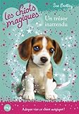 14. Les chiots magiques : Un trésor innatendu (14)