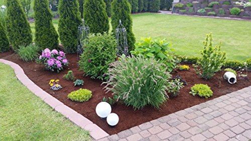 70 L Kokosblumenerde Quellerde – torffreie Blumenerde – für den Innen- und Außenbereich – sehr ergiebige Pflanzerde – torffrei und ungedüngt – 5 kg Kokos Brikett – Pflanzerde für Obst, Gemüse, Zierpflanzen und Exoten – fein – - 4