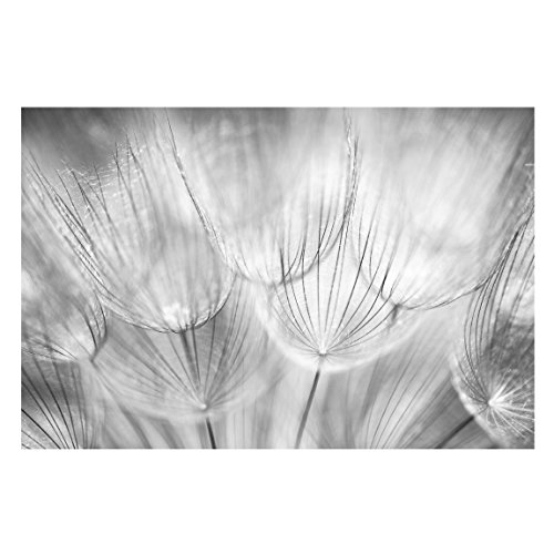 Vliestapete – Top Pusteblumen Tapeten – 6 hochwertige Motive zur Auswahl – Fototapete Breit Vlies Tapete Wandtapete XXL Wandbild Foto 3D Fototapete Wohnzimmer Schlafzimmer Kinderzimmer, Größe HxB: 225cm x 336cm; Motiv: Pusteblumen schwarz weiss - 2