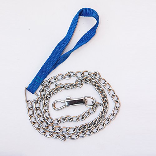 Metal-Dog-Chain-With-Blue-Fabric-Handle-Enables-You-To-Complete-Control-on-Your-Pet
