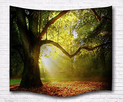 A.Monamour Sonnenschein Durch Verwunschene Großen Baum Blätter Wald Weg Der Naturlandschaft Bild Gefallen Wandteppich Vorhänge Für Kinder Schlafzimmer Hängen Wanddekor Wohnaccessoires Deko