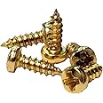 100pc. #2 x 1/4" Gold Phillips Round-Head Wood Screws