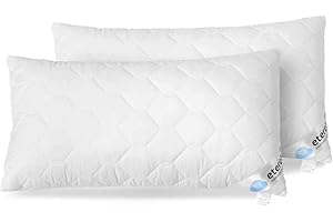 ETÉREA HIMMLISCHE QUALITÄT ETÉREA® 2er Set Kopfkissen 70x90cm [ÖKOTEX ZERTIFIZIERT] - Frieda Kissen 70x90 mit Reißverschluss - Weicher gesteppter Mikrofaserbezug - Pillow 70x90 - Schlafkissen - Kopfkissen Allergiker - Weiß