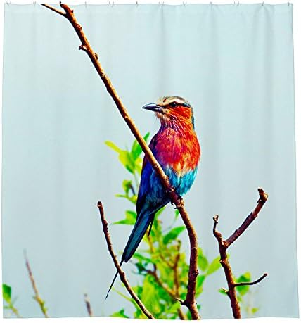 Bhdangfds Beautiful Nice and Lovely Birds Shower Curtain Polyester Fabric Bathroom Shower Curtain Set with Hooks 72 By 72-inch,180cmx180cm