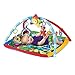 Baby Einstein Caterpillar and Friends Play Gym