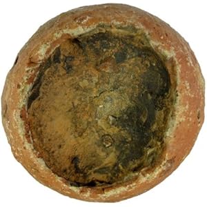 3 kg Dinostein 10-20cm, Dekoration für Aquarien und Terrarium