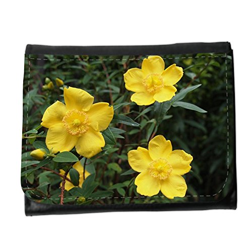 Preisvergleich Produktbild Portemonnaie Geldbörse Brieftasche / / M00290742 Hypericum Johanniskraut Gelb / / Small Size Wallet