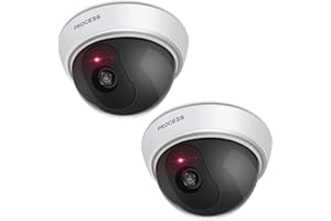 ERWEY Atrapa aparatu z obiektywem, monitoring wideo, kamera do monitoringu towarów, sztuczna kamera z czerwonym światłem LED, na ścianę, sufit, zestaw 2 szt. z perforowanym papierem