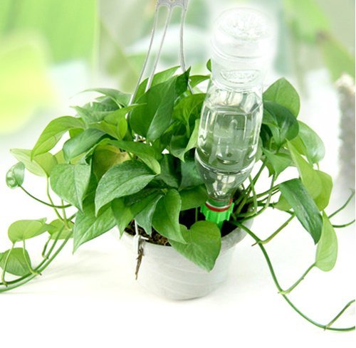Sonline 4 x Gartenbewaesserung Geraet Pflanzen fuer Ferien Flasche Bewaesserungssystem - 4
