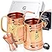 Produktbild Magnificent Moscow Mule Copper Mugs: Make Any Drink Taste Much Bettter! 100% Pure Solid Copper His & Hers Gift Set- 2 Hammered 18 OZ Copper Caps 2 Unique Straws, Jigger & Recipe Book! (copper, 18oz)