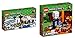 Produktbild LEGO Minecraft 2er Set: 21142 Eisiglu + 21143 Netherportal