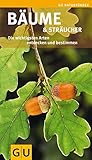 Image de Bäume & Sträucher: Die wichtigsten Arten entdecken und bestimmen