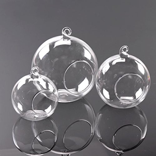 Hängende Glas Blumenvase Vase für Hängedeko Pflanzen Dekoration – 12cm Durchmesser - 4
