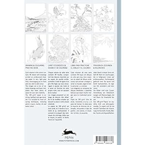 Japan: Drawing & Colouring Practise Book