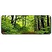Produktbild JUNHONGZHANG Tiefe Straße Im Wald Übergroße Mausunterlage Rutschfeste Spielgummiunterlage Verwendbar Für Hauptbüro Internet-Cafés,40x80cm