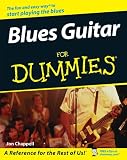 guitar effect vst best  Blues Guitar For Dummies (For Dummies Series)