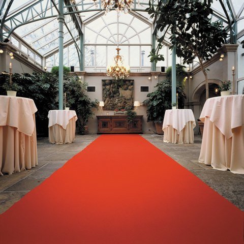 Roter Teppich - Hochzeitsteppich - VIP Teppich (4,50EUR/m²) - 1,50m breit
