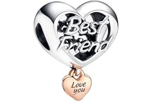 BEEUVIP Charmes Animaux personnages vie pour Bracelets - Charms de Perles ajourées en Argent Sterling 925, charmes de Coeur d'amour pour Bracelets et Colliers pour Femmes Filles