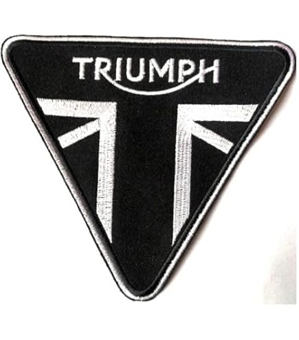 Distintivo Del Capo Della Guardia Di Ferro - War Militaria - Foto 12