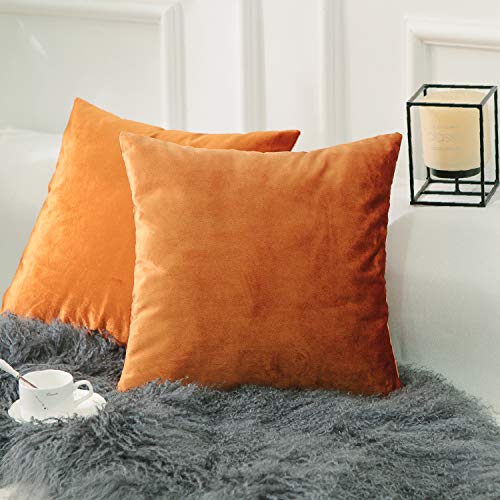 Home Brilliant Set of 2 Velvet Throw Pillow Covers Square Cushion Cover Pillowcases, 45cm x 45cm(18