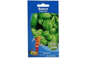 BLM MARKET Basilic grand vert