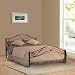 FurnitureKraft FKDB3004 Queen Size Bed (Glossy Finish, Black) RS.8599.00
