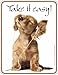 Produktbild Blech-Designer-Schild für deine Wohnung: Take it easy 17cm x 22cm