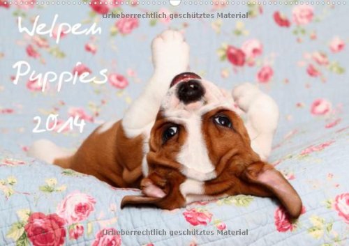 Welpen - Puppies 2014 (Wandkalender 2014 DIN A2 quer): Wandkalender (Monatskalender, 14 Seiten)