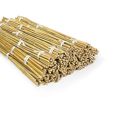 casa pura Tuteurs pour Plantes - Canne Bambou | Tige de Bambou Naturelle pour Légumes, Tomates, Etc | Piquet de Qualité Supérieur | Lot de 20 Pièces | Longueur 90 cm