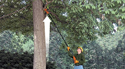 Black+Decker 18V 2.0Ah Li-Ion Akku-Astsäge, 3.7kg leicht, Hoch-Entaster Arbeitshöhe bis 4m, Gesamtlänge 1.97m – 2.94m, 20cm Schwertlänge, 17cm Schnittstärke, GPC1820L20, schwarz orange - 2