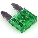 30 A. Mini Fusible de 30 amperios, Color Verde, para Coche, camión, autobús - 10 / 20 / 50 o 100 Unidades