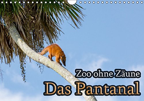 Zoo ohne Zäune - Das Pantanal (Wandkalender 2015 DIN A4 quer): Lebensraum Sumpf - Ein Ausflug in die bedrohte Tierwelt des Pantanal. (Monatskalender, 14 Seiten)
