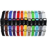 All4pet Stabilen Nylon Welpen ID Halsbänder, 12 Stück