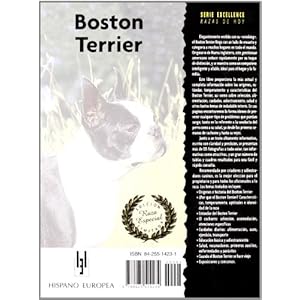 Boston Terrier