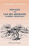 Image de Voyages au Cap des Aromates (Afrique orientale): Illustrations de Ferdinandus et Bellenger