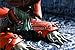Produktbild CGC Große Poster – Final Fantasy Ix Freya Crescent PS1 PS2 PS3 PSP Vita – fix016, Papier, 16" x 24" (41cm x 61cm)