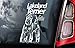 Price comparison product image Lakeland Terrier - Car Window Sticker - Dog Sign - External Printed - V01