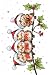 Produktbild Wild Rose Studio Rotkehlchen und Ast Stempel, mehrfarbig, 0,1 x 9 x 18 cm