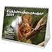 Eichhörnchenzauber 2019 · DIN A5 · Premium Tischkalender/Kalender · Eichhörnchen · Wald · Natur · Tier · Wildnis · Set mit 1 Weihnachtskarte · Edition Seelenzauber by 