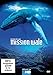Produktbild Mission Wale