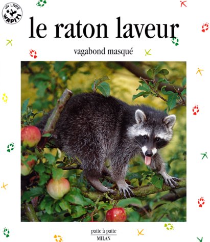 Le raton laveur, vagabond masqué
